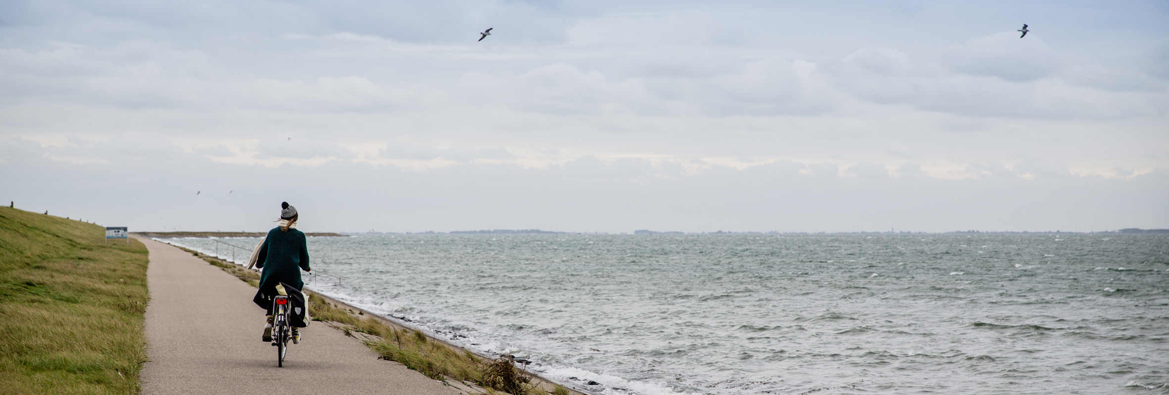 Schouwen Duiveland fietsen