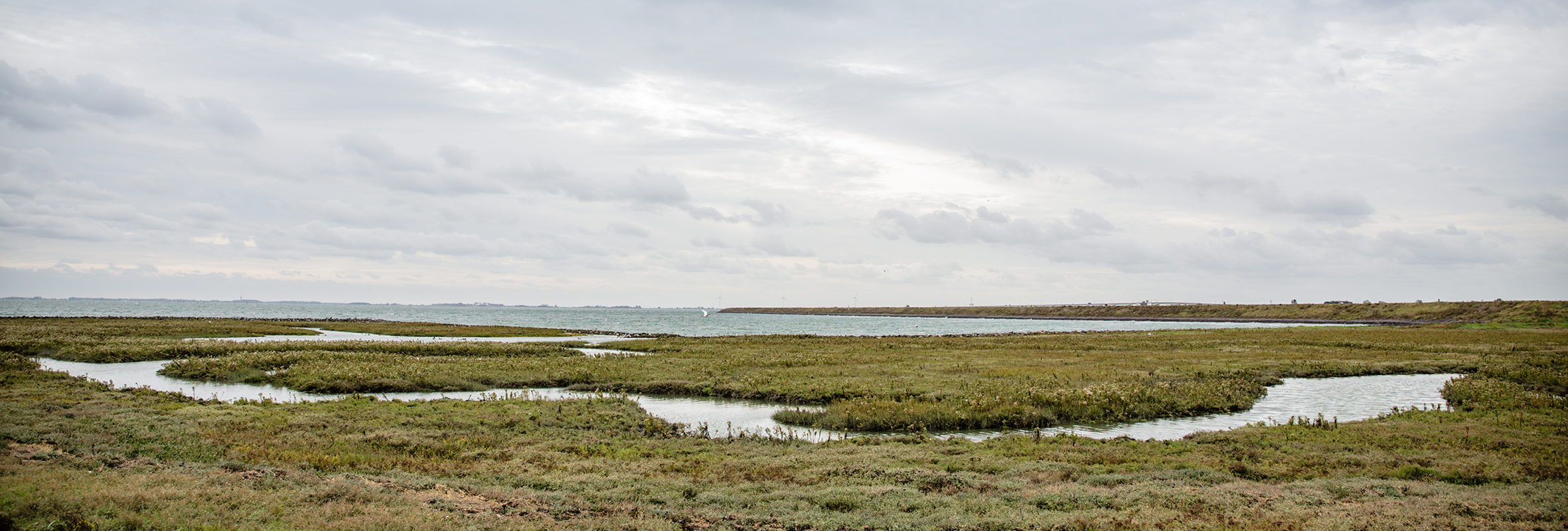 Schouwen Duiveland fietstocht